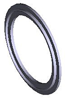 Sani-Tech® Gasket.jpg