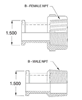 Maxi Tri-Clamp x NPT-2