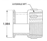 1 1/2" Tri-Clamp x NPT-2 FNPT