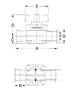 Manual Diaphragm Valve-2