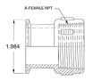 1 1/2" Tri-Clamp x NPT-2 FNPT