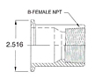 2" Tri-Clamp x NPT-2 FNPT