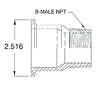 2" Tri-Clamp x NPT-2 MNPT